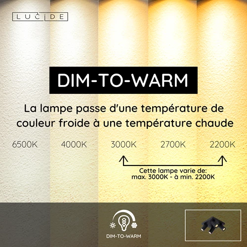 Lucide TAYLOR - Spot plafond Salle de bains - LED Dim to warm - GU10 - 4x5W 2200K/3000K - IP44 - Noir - USP